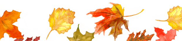 unnamed (1)
