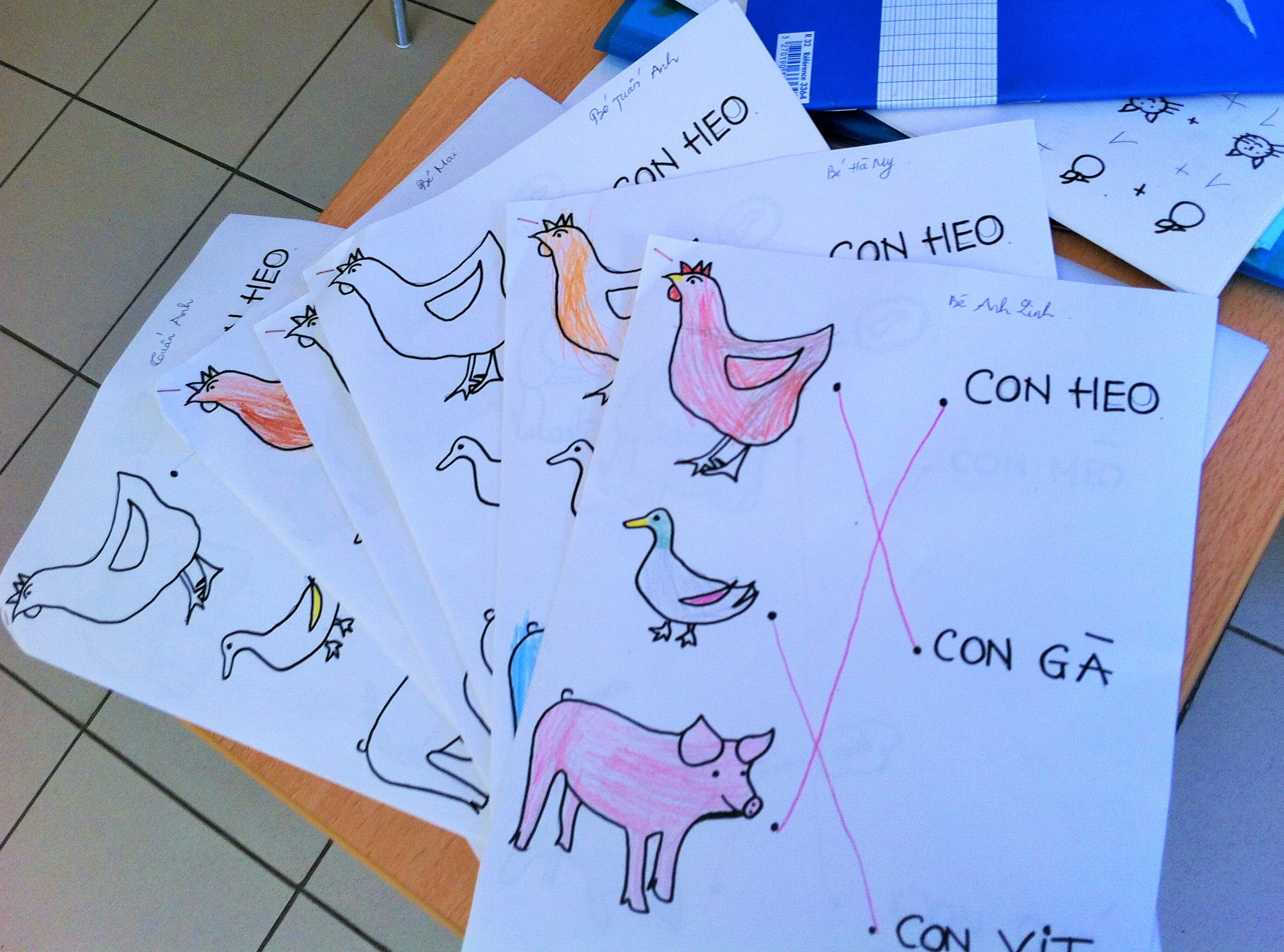 photo 5 (1)