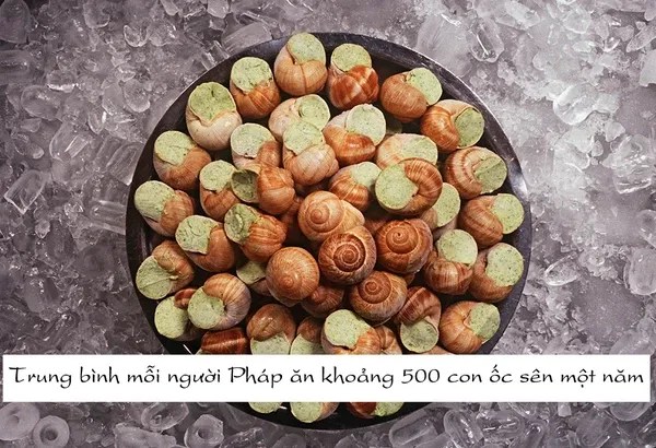 20 sự thật thú vị về nước Pháp 19 20 sự thật thú vị về nước Pháp 19