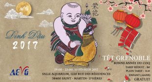 affiche_tetgrenoble2017