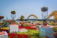 duong-hoa-tet-da-nang-xuan-nam-moi-2-800x533