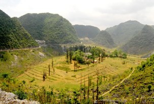 Dinh thự "Vua Mèo"